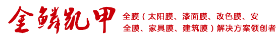 公司名称